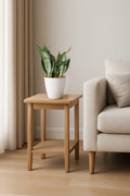 Sansevieria Futura Green