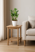 Zamioculcas Zamiifolia ZZ Plant
